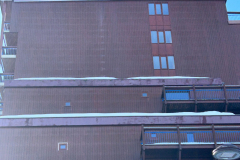 202402-pm-pignon3